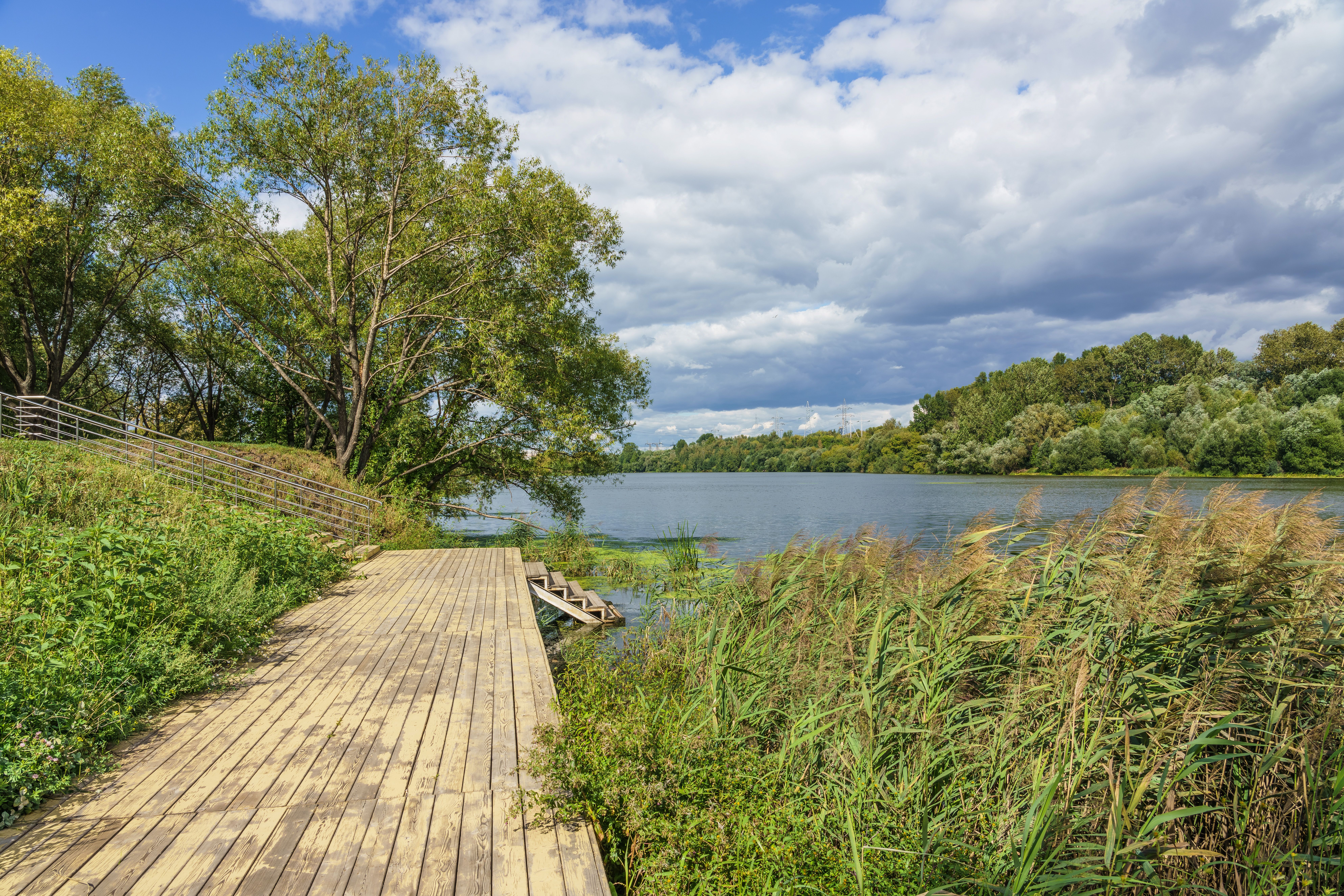 River Floodplain Netherlands